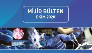 Mijid Bülten – Ekim 2020